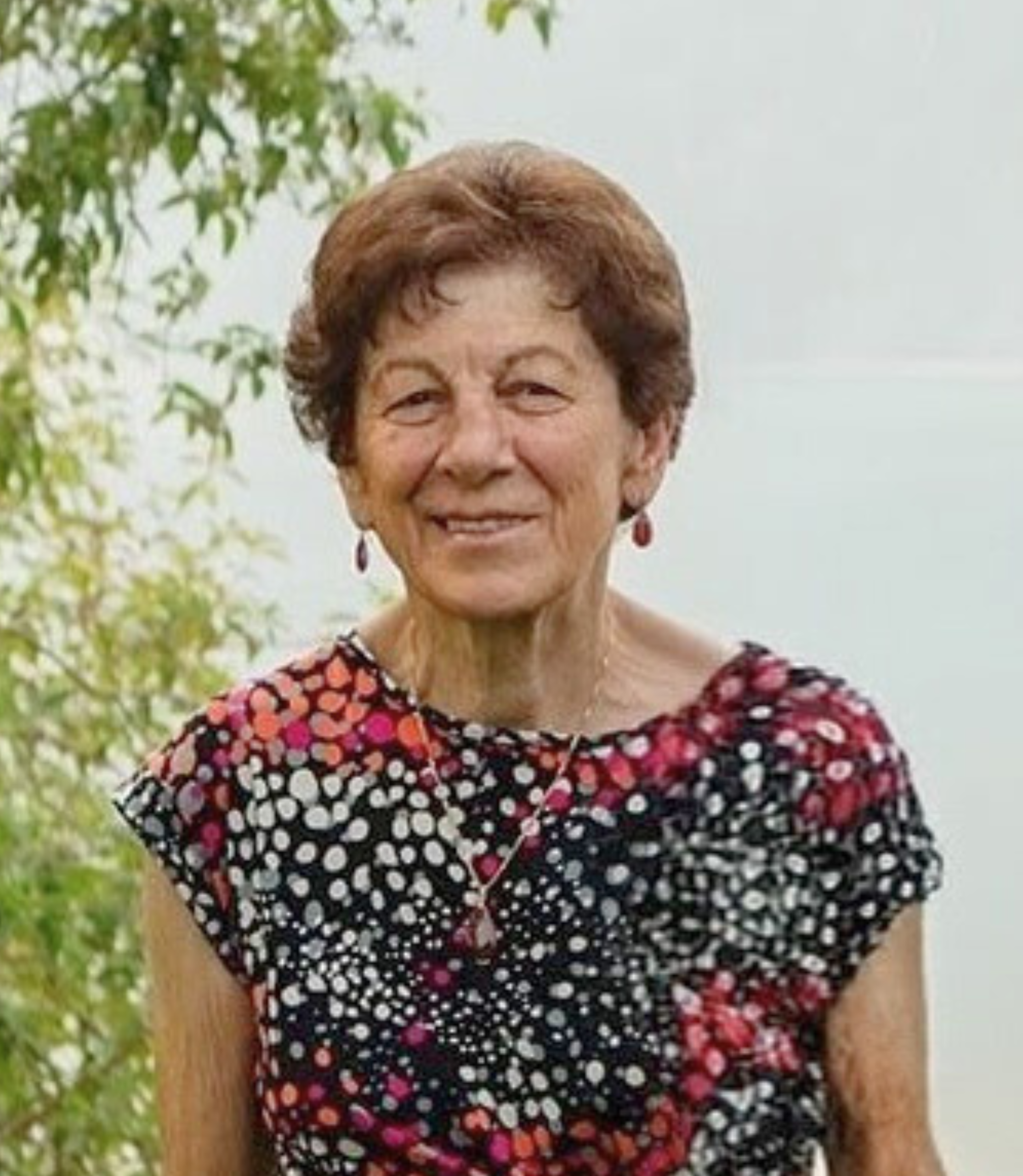 Permalink to DINA PIVA